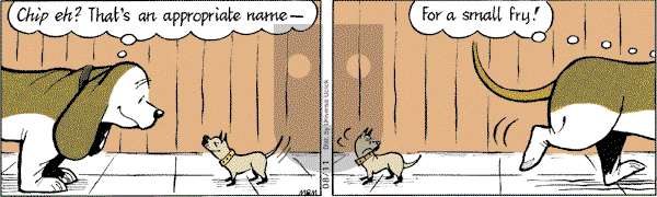 Fred Basset on Wednesday August 11, 2010 Comic Strip