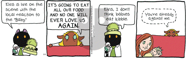 Breaking Cat News on Tuesday June 6, 2017 Comic Strip