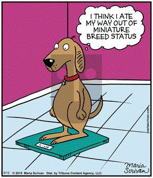 Half Full on Friday June 12, 2015 Comic Strip