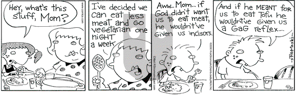 Soup to Nutz - Old on Thursday November 30, 2000 Comic Strip