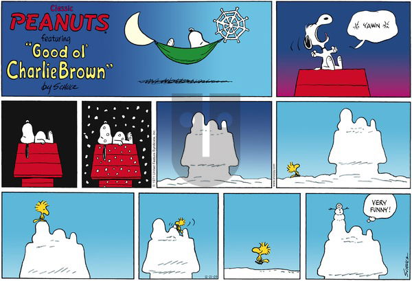 Peanuts on Sunday December 21, 2003 Comic Strip