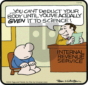 Ziggy on Thursday November 10, 2016 Comic Strip