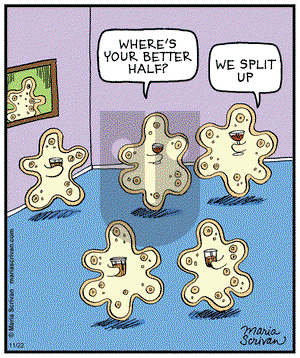 Half Full on Friday November 22, 2013 Comic Strip