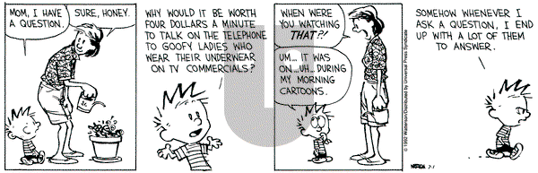 Calvin and Hobbes on Wednesday July 1, 1992 Comic Strip