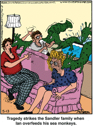 Close to Home on Tuesday May 13, 2025 Comic Strip