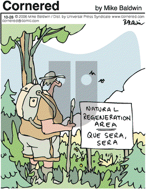 Cornered - Saturday October 28, 2006 Comic Strip