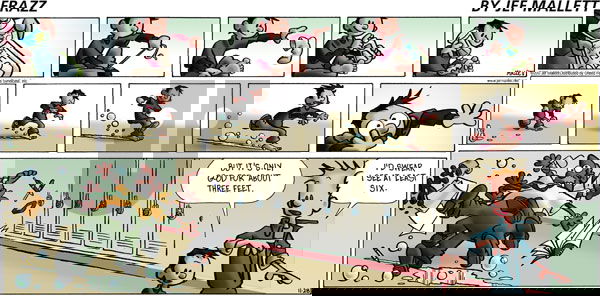 Frazz on Sunday November 28, 2010 Comic Strip