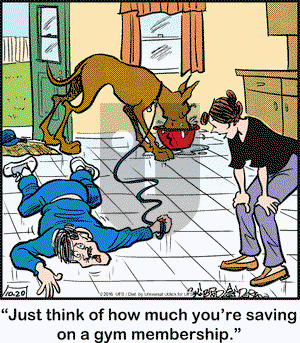 Marmaduke on Thursday October 20, 2016 Comic Strip