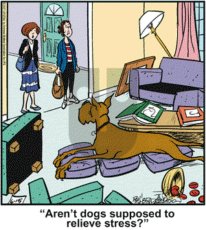 Marmaduke on Tuesday June 15, 2021 Comic Strip