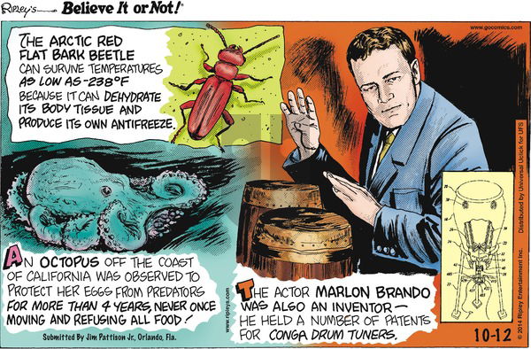 Ripley's Believe It or Not on Sunday October 12, 2014 Comic Strip
