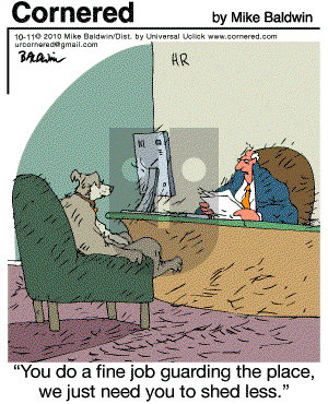 Cornered - Monday October 11, 2010 Comic Strip