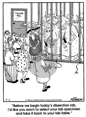 Close to Home on Tuesday May 3, 1994 Comic Strip