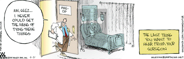 Non Sequitur on Saturday May 31, 2014 Comic Strip