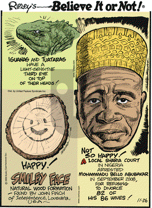 Ripley's Believe It or Not - Wednesday November 26, 2008 Comic Strip