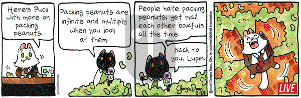 Breaking Cat News on Tuesday February 27, 2018 Comic Strip