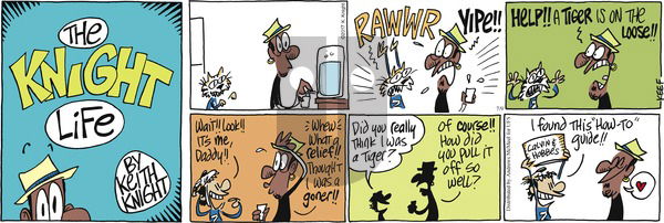 The Knight Life on Sunday July 9, 2017 Comic Strip