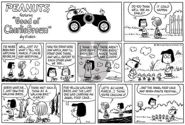 Peanuts on Sunday July 6, 1980 Comic Strip