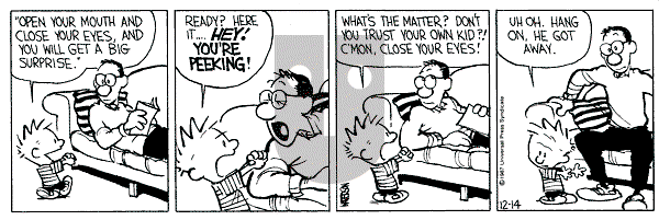 Calvin and Hobbes - Monday December 14, 1987 Comic Strip