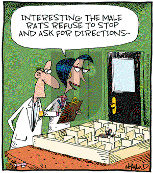 Reality Check on Friday March 1, 2013 Comic Strip