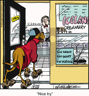 Marmaduke on Tuesday August 25, 2009 Comic Strip