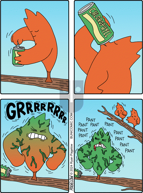 Buni on Monday November 4, 2024 Comic Strip