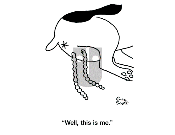 1 and Done on Thursday June 5, 2025 Comic Strip