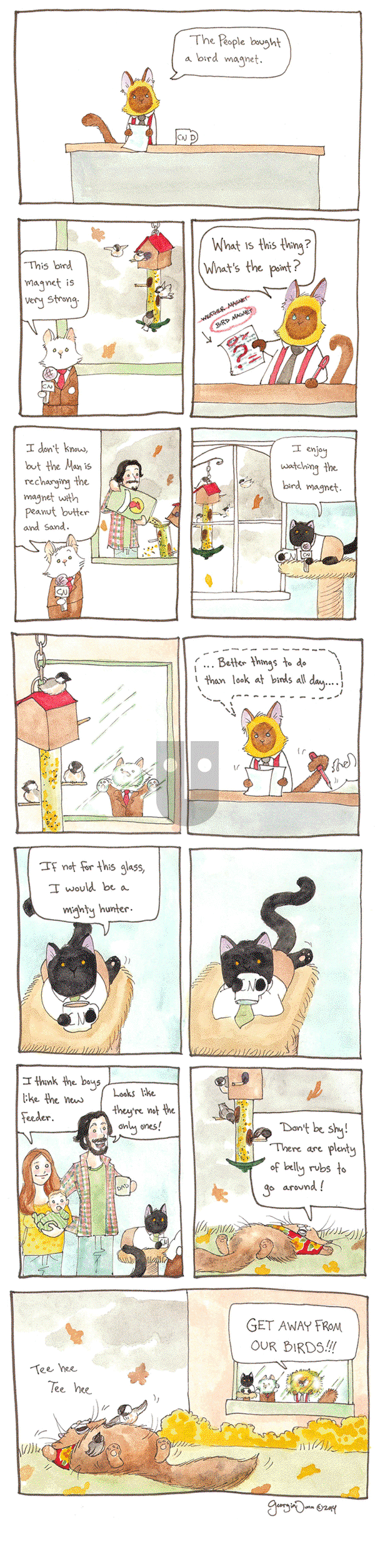 Breaking Cat News on Monday May 4, 2015 Comic Strip