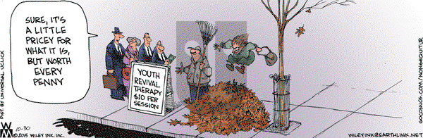 Non Sequitur on Friday October 30, 2015 Comic Strip