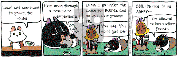 Breaking Cat News on Wednesday June 14, 2017 Comic Strip