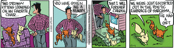 Rose is Rose on Friday December 11, 2020 Comic Strip
