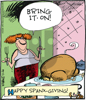 Reality Check on Wednesday November 26, 2014 Comic Strip