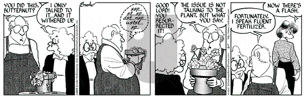 9 Chickweed Lane on Thursday May 2, 2002 Comic Strip