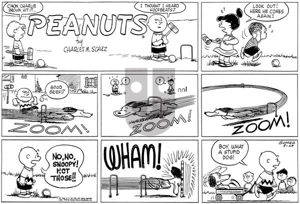 Peanuts on Sunday August 28, 1955 Comic Strip