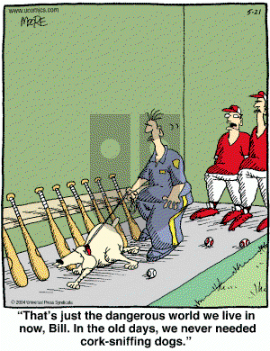 In the Bleachers - Friday May 21, 2004 Comic Strip