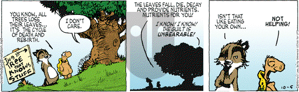 Over the Hedge on Wednesday October 5, 2016 Comic Strip