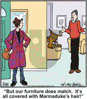 Marmaduke on Thursday April 28, 2022 Comic Strip
