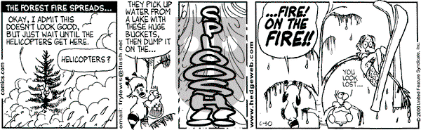 Over the Hedge on Friday June 30, 2000 Comic Strip