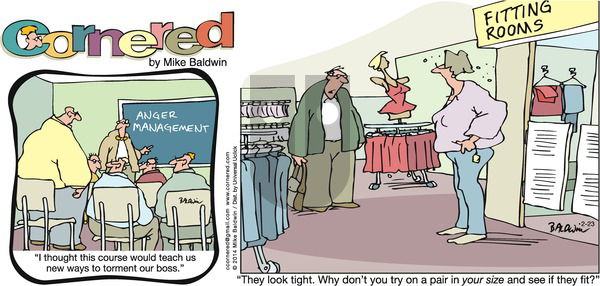 Cornered on Sunday February 23, 2014 Comic Strip