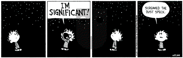 Calvin and Hobbes on Thursday October 14, 1993 Comic Strip