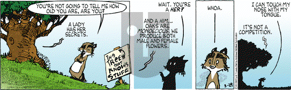 Over the Hedge on Thursday March 29, 2018 Comic Strip