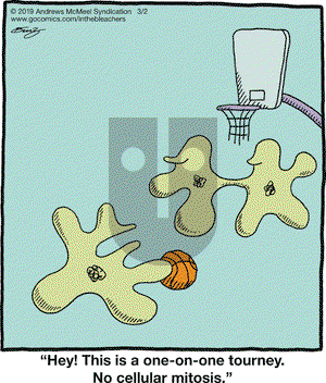 In the Bleachers on Saturday March 2, 2019 Comic Strip