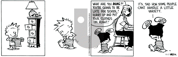 Calvin and Hobbes - Thursday November 7, 2024 Comic Strip