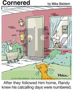 Cornered on Friday June 21, 2019 Comic Strip