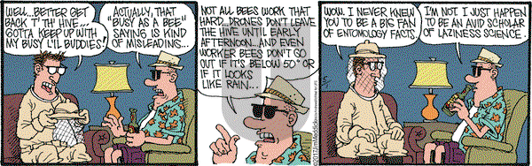 Monty on Monday May 1, 2017 Comic Strip
