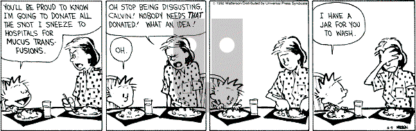 Calvin and Hobbes - Tuesday June 9, 1992 Comic Strip