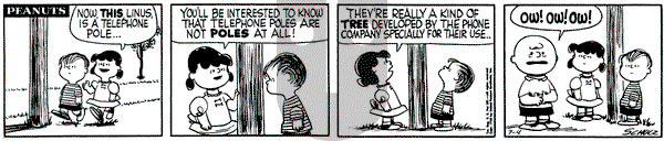 Peanuts on Wednesday July 4, 1956 Comic Strip