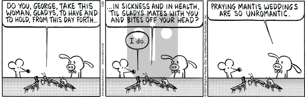 Pearls Before Swine on Friday January 26, 2007 Comic Strip