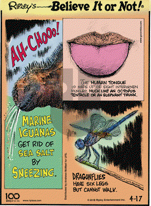Ripley's Believe It or Not on Wednesday April 17, 2019 Comic Strip