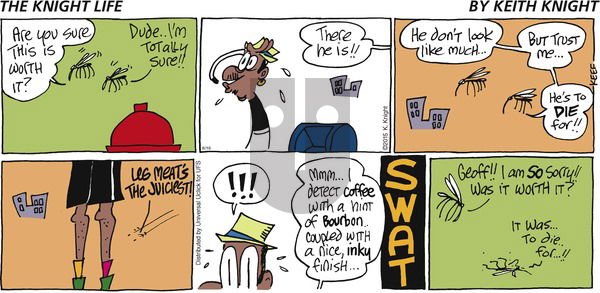 The Knight Life on Sunday August 16, 2015 Comic Strip