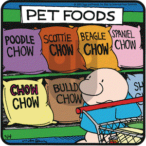 Ziggy on Wednesday May 18, 2005 Comic Strip